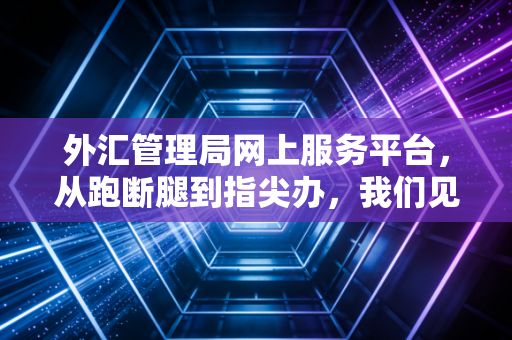外汇管理局网上服务平台，从跑断腿到指尖办，我们见证了怎样的变革？