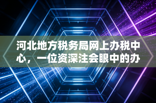河北地方税务局网上办税中心，一位资深注会眼中的办税效率革命与实操心得