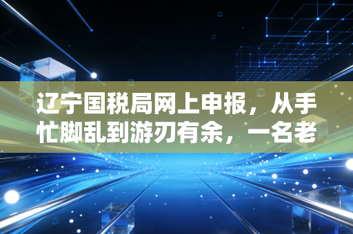 辽宁国税局网上申报，从手忙脚乱到游刃有余，一名老会计的肺腑之言