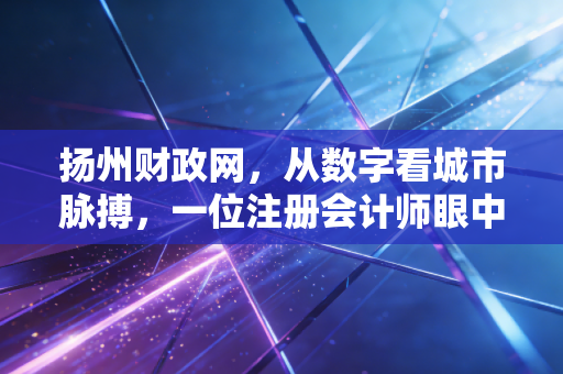 扬州财政网，从数字看城市脉搏，一位注册会计师眼中的财政透明与民生温度