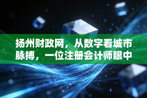 扬州财政网，从数字看城市脉搏，一位注册会计师眼中的财政透明与民生温度