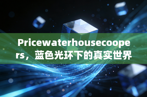 Pricewaterhousecoopers，蓝色光环下的真实世界——从四大之首到年轻人的镀金工厂