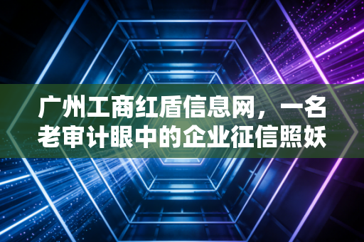 广州工商红盾信息网，一名老审计眼中的企业征信照妖镜与合规实战指南