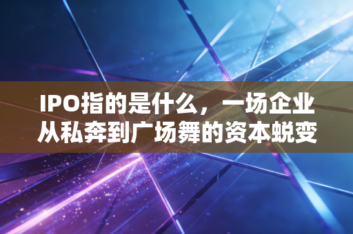 IPO指的是什么，一场企业从私奔到广场舞的资本蜕变