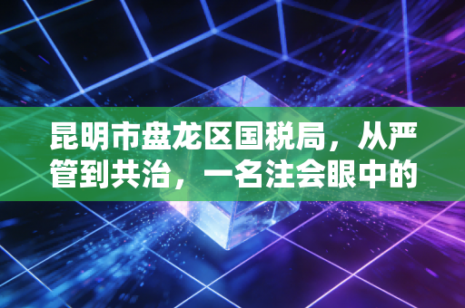 昆明市盘龙区国税局，从严管到共治，一名注会眼中的税务生态变迁