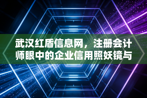 武汉红盾信息网，注册会计师眼中的企业信用照妖镜与合规避坑指南