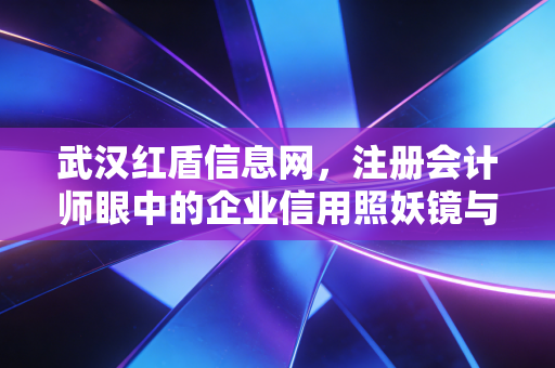 武汉红盾信息网，注册会计师眼中的企业信用照妖镜与合规避坑指南