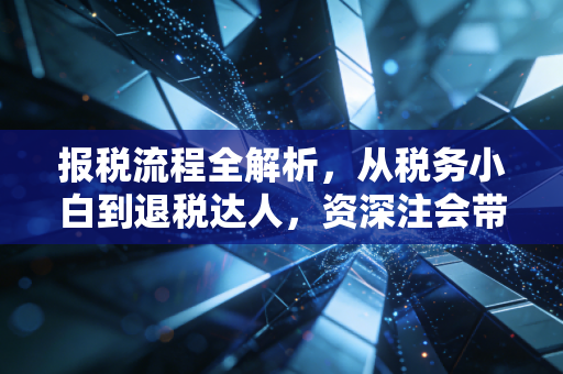 报税流程全解析，从税务小白到退税达人，资深注会带你避坑实操