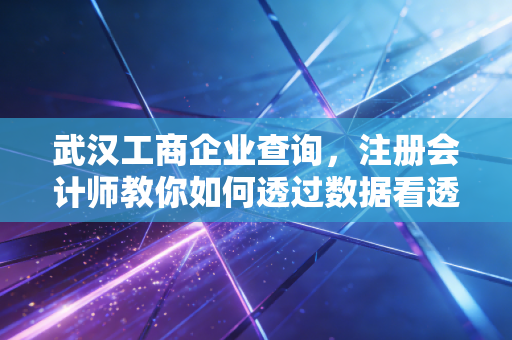 武汉工商企业查询，注册会计师教你如何透过数据看透一家公司的底牌