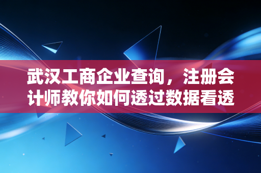 武汉工商企业查询，注册会计师教你如何透过数据看透一家公司的底牌