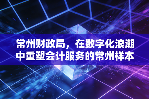 常州财政局，在数字化浪潮中重塑会计服务的常州样本——一位注会眼中的观察与思考