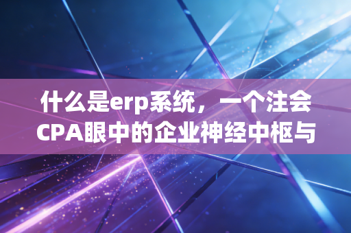 什么是erp系统，一个注会CPA眼中的企业神经中枢与财务变革