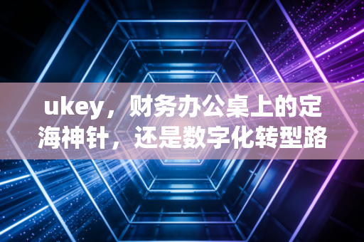 ukey，财务办公桌上的定海神针，还是数字化转型路上的最后一道枷锁？