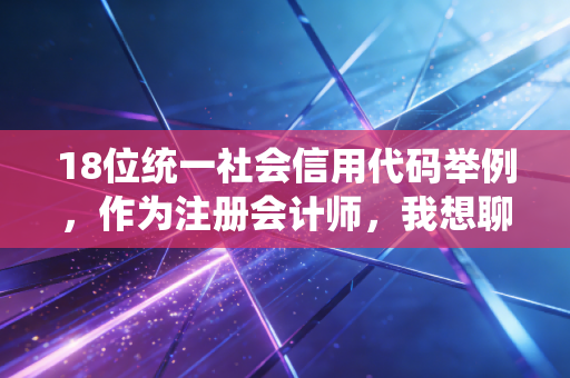18位统一社会信用代码举例，作为注册会计师，我想聊聊这串数字背后的门道与实战应用