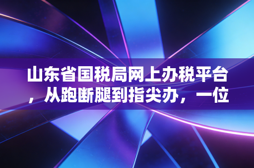 山东省国税局网上办税平台，从跑断腿到指尖办，一位老会计眼中的数字化变迁与实战心得