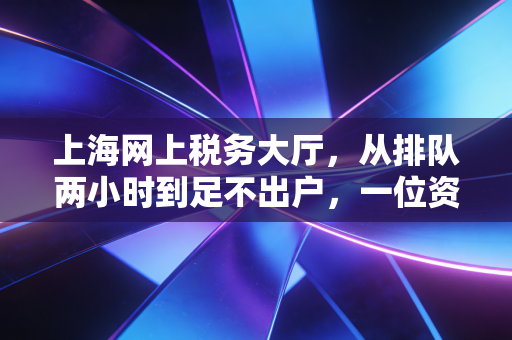 上海网上税务大厅，从排队两小时到足不出户，一位资深CPA眼中的数字化征途与避坑实录