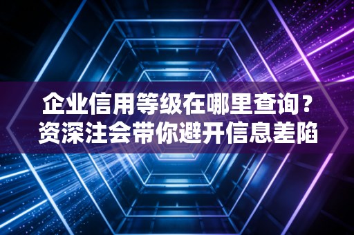 企业信用等级在哪里查询？资深注会带你避开信息差陷阱