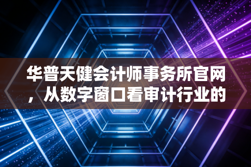 华普天健会计师事务所官网，从数字窗口看审计行业的坚守与变迁