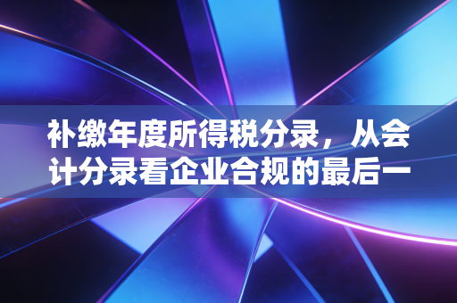 补缴年度所得税分录，从会计分录看企业合规的最后一公里
