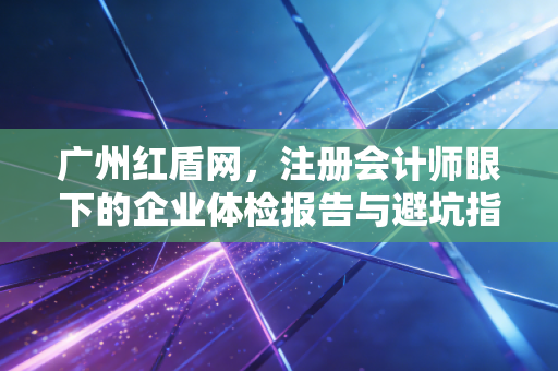 广州红盾网，注册会计师眼下的企业体检报告与避坑指南