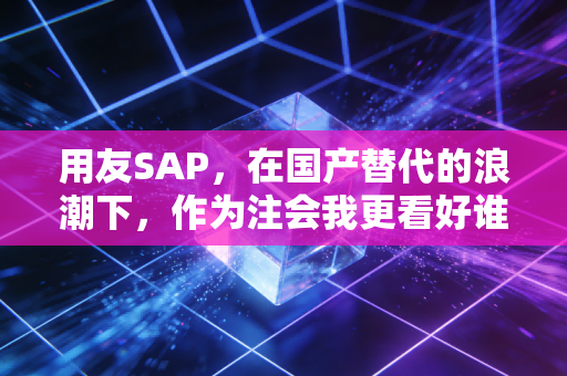用友SAP,在国产替代的浪潮下,作为注会我更看好谁的钱途?