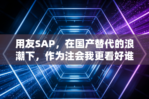 用友SAP，在国产替代的浪潮下，作为注会我更看好谁的钱途？