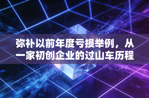 弥补以前年度亏损举例，从一家初创企业的过山车历程看懂税务智慧