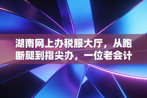 湖南网上办税服大厅,从跑断腿到指尖办,一位老会计眼中的数字化税务变革