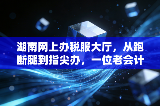 湖南网上办税服大厅，从跑断腿到指尖办，一位老会计眼中的数字化税务变革