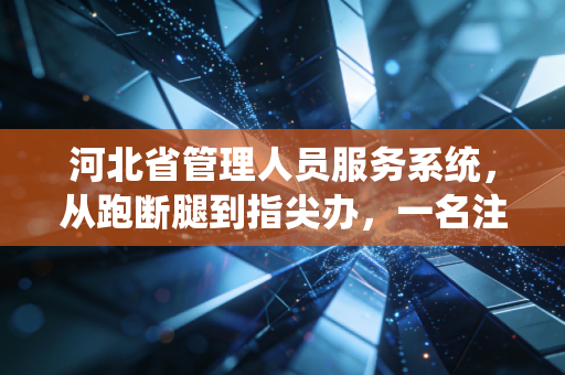 河北省管理人员服务系统，从跑断腿到指尖办，一名注册会计师眼中的数字化变革