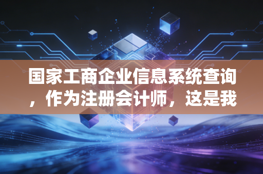 国家工商企业信息系统查询，作为注册会计师，这是我教你避坑的第一课