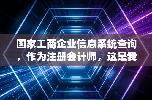 国家工商企业信息系统查询，作为注册会计师，这是我教你避坑的第一课