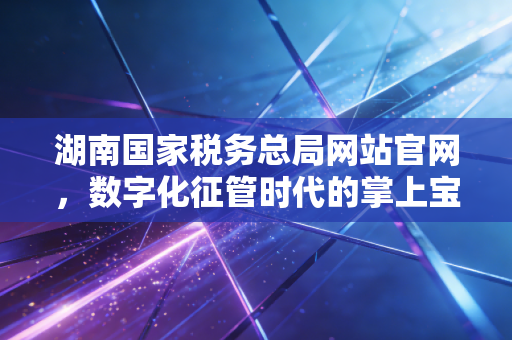 湖南国家税务总局网站官网,数字化征管时代的掌上宝典与会计人的得力助手