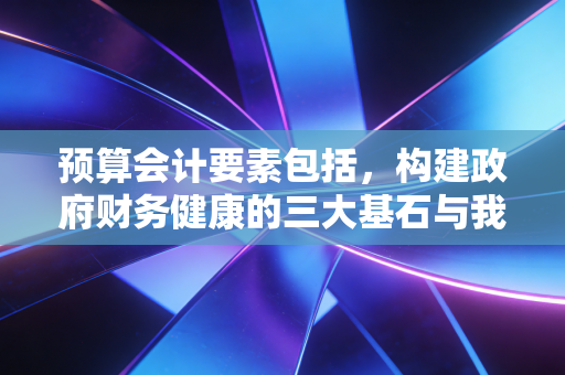 预算会计要素包括,构建政府财务健康的三大基石与我们的切身利益