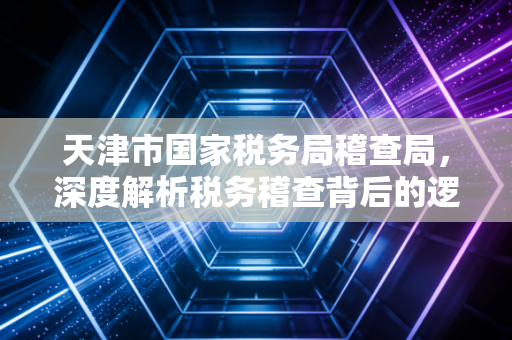 天津市国家税务局稽查局,深度解析税务稽查背后的逻辑与企业应对之道