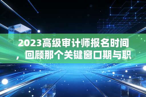 2023高级审计师报名时间,回顾那个关键窗口期与职业进阶的深度思考