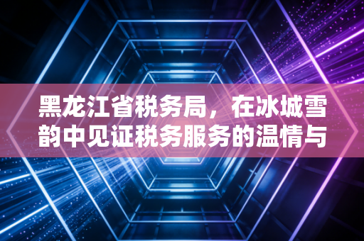 黑龙江省税务局，在冰城雪韵中见证税务服务的温情与变革——一位注会人的深度观察