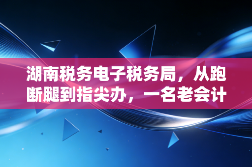 湖南税务电子税务局,从跑断腿到指尖办,一名老会计的数字化生存实录