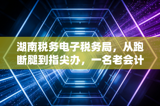湖南税务电子税务局，从跑断腿到指尖办，一名老会计的数字化生存实录