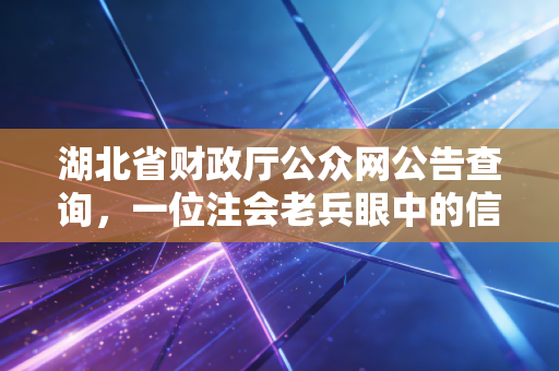 湖北省财政厅公众网公告查询,一位注会老兵眼中的信息差与职业生存法则