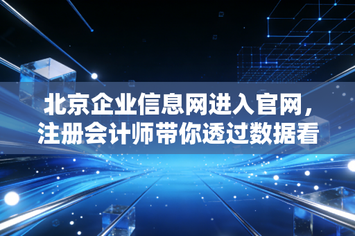 北京企业信息网进入官网,注册会计师带你透过数据看透企业真相