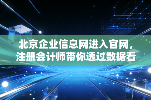 北京企业信息网进入官网,注册会计师带你透过数据看透企业真相