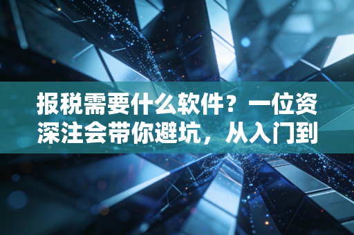 报税需要什么软件?一位资深注会带你避坑,从入门到精通的实战指南