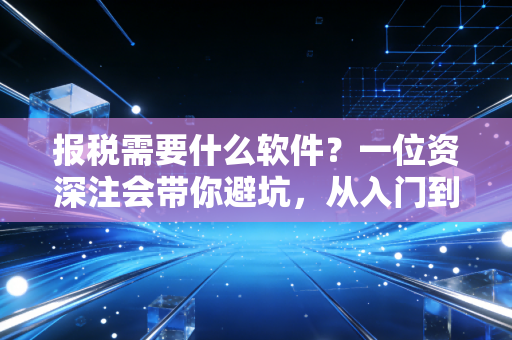 报税需要什么软件？一位资深注会带你避坑，从入门到精通的实战指南