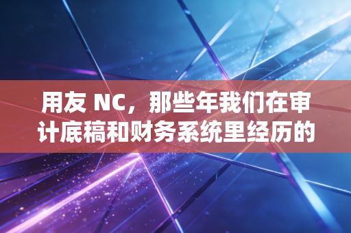 用友 NC，那些年我们在审计底稿和财务系统里经历的爱恨情仇