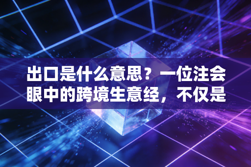 出口是什么意思?一位注会眼中的跨境生意经,不仅是卖货,更是薅羊毛的艺术