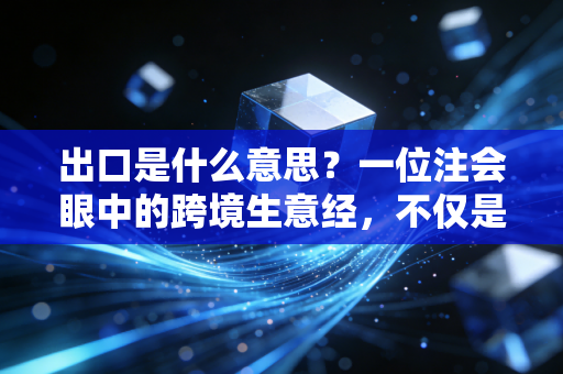 出口是什么意思?一位注会眼中的跨境生意经,不仅是卖货,更是薅羊毛的艺术