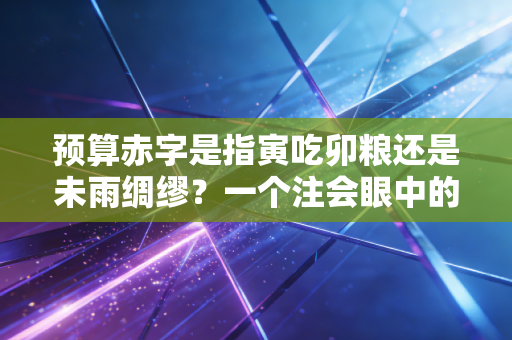 预算赤字是指寅吃卯粮还是未雨绸缪？一个注会眼中的国家账本与生活哲学