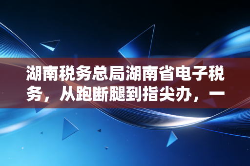 湖南税务总局湖南省电子税务，从跑断腿到指尖办，一位老会计眼中的数字化变革