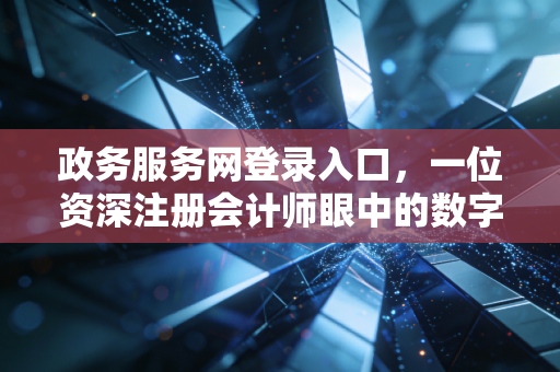 政务服务网登录入口,一位资深注册会计师眼中的数字政务变迁与企业生存指南